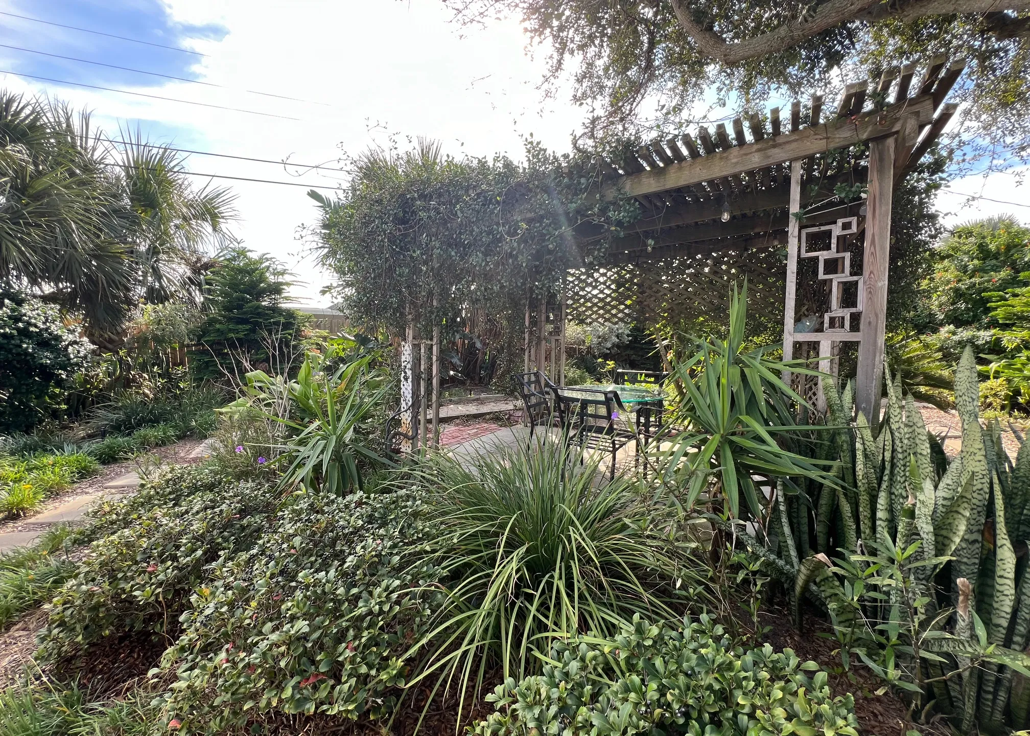 back-yard-sanctuary-125182_library_125182