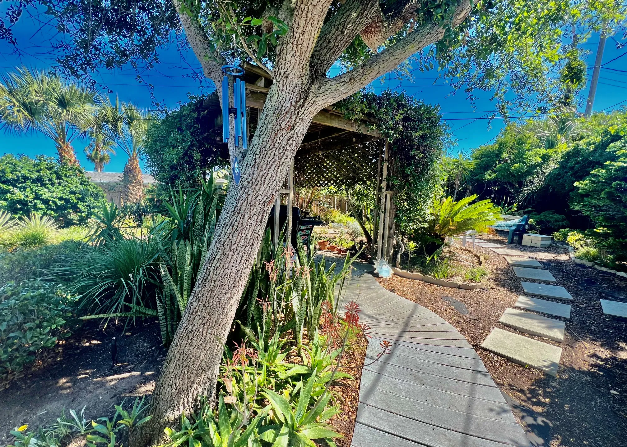 back-yard-sanctuary-134553_library_134553