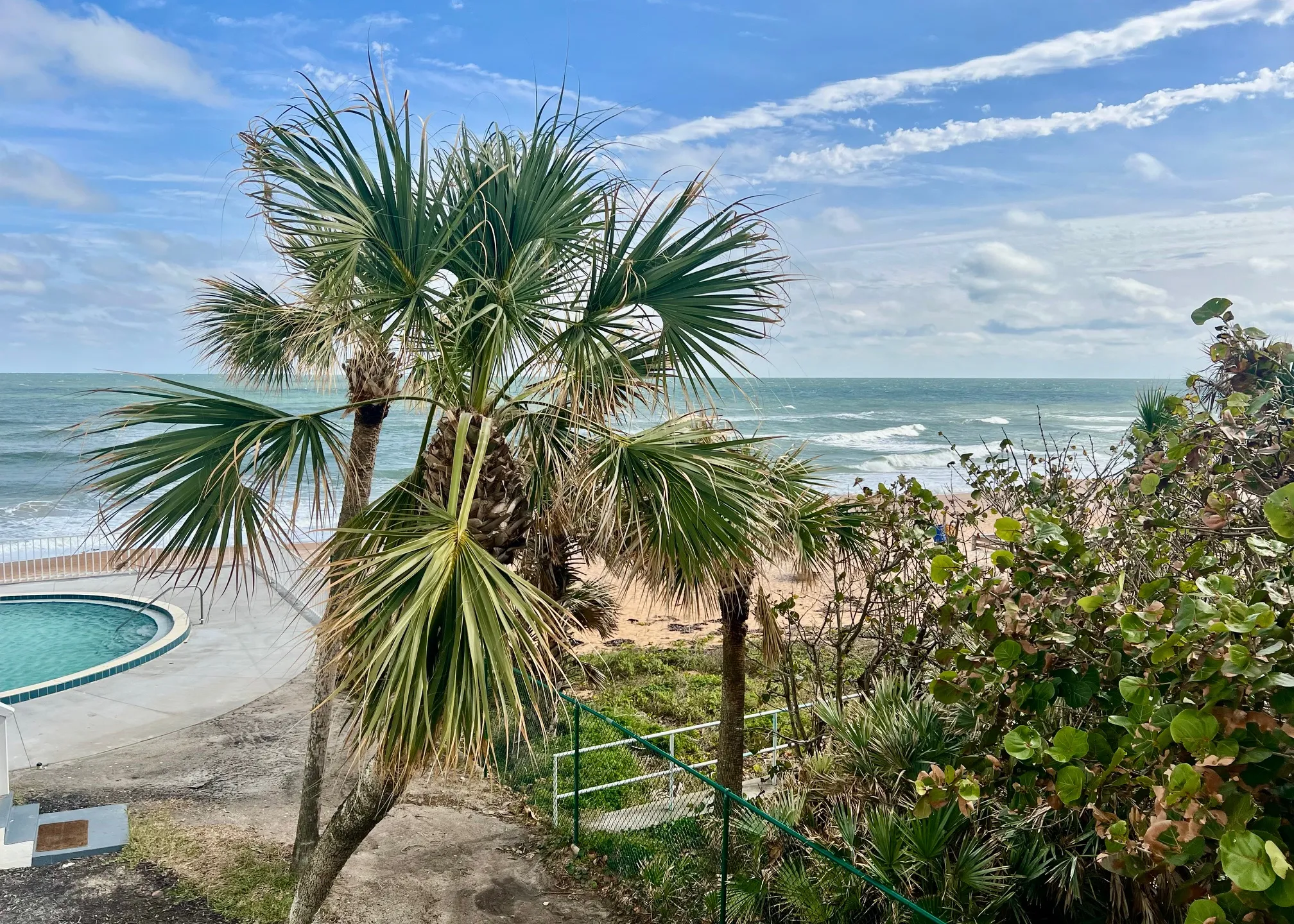 view-of-beach-and-pool-144008_library_144008